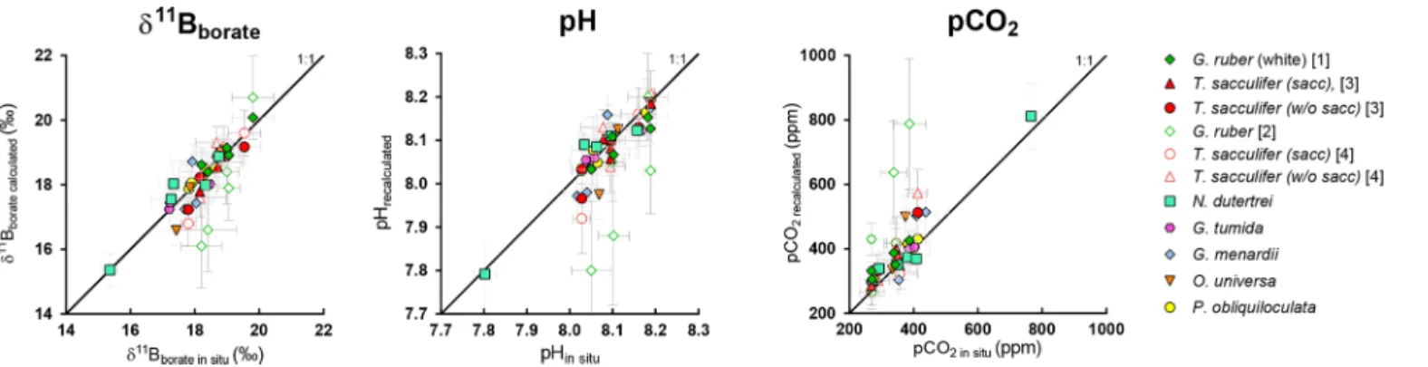 Figure 9. Evaluation of the reconstructed parameters, δ 11 B borate , pH, and pCO 2 versus in situ parameters calculated in Fig