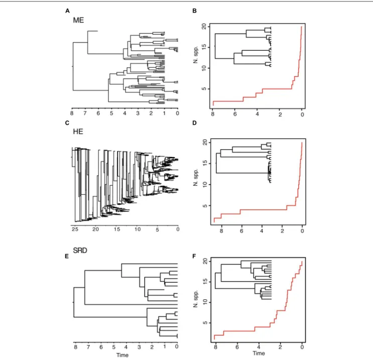 FIGURE 3 | Different birth–death models can generate reconstructed phylogenies with similar tree shapes
