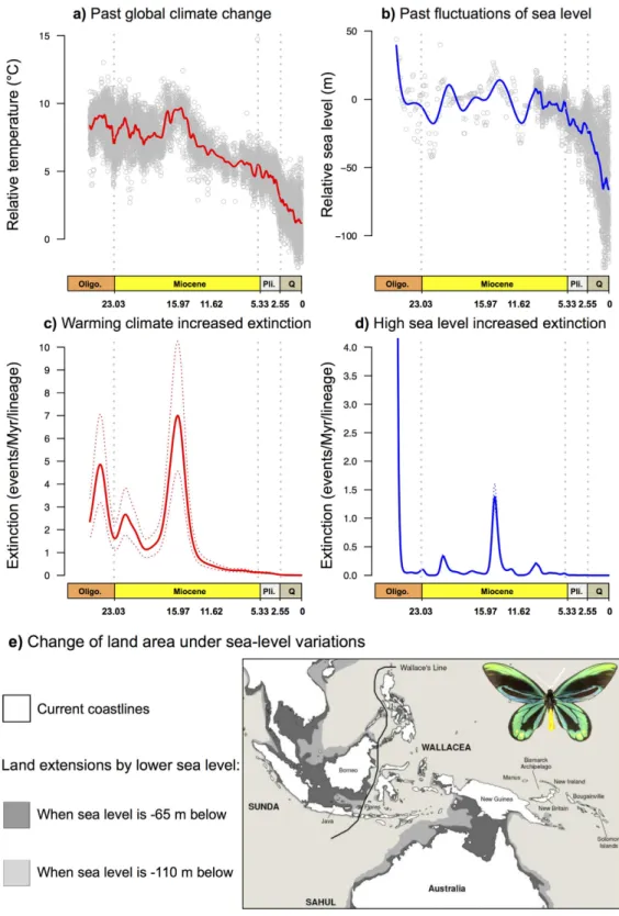 Figure 3.  Evaluation of the effect of environmental changes on diversification processes in the  evolutionary history of birdwing butterflies