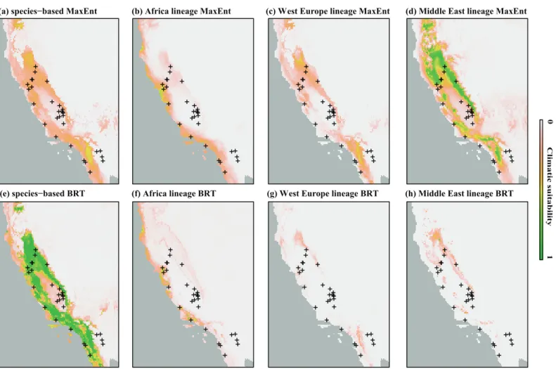 Fig 4. Projections of species- and lineage-based models (MaxEnt and Boosted Regression Trees (BRT) for Bactrocera oleae in the invaded range in Americas