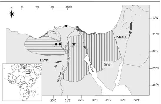 Figure 2. Reevaluated Gerbillus floweri distribution area based on the results presented here (see text; 