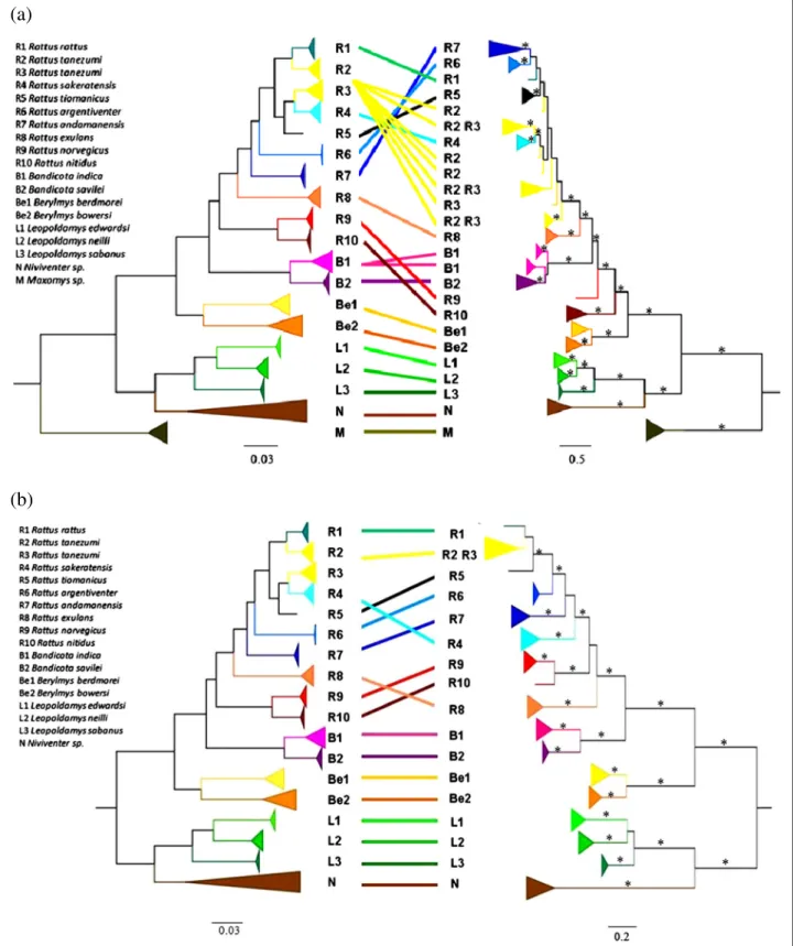 Figure 1 Comparison of phylogenetic trees based on Tlr s and neutral markers. Comparison of the Bayesian phylogenetic trees of Tlr4 (a) and Tlr7 (b) on the right with phylogenetic trees based on presumably neutral markers (Cytb, CoI, Irbp; for more details
