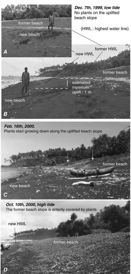 Figure 16. Evolution of the uplifted beach of Ulei during 1 year following earthquake (see text for explanation).