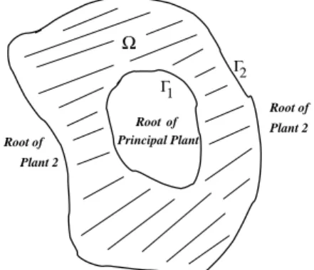 Figure 1. The rhizosphere Ω is delimited by the two boundaries Γ 1 and Γ 2 , where Γ 1 represents the root surface and where Γ 2 the boundary of the rhizosphere where the nutrients enter.