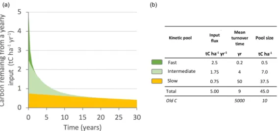 Figure 5. (a) Simplified kinetic representation of the fate of plant organic inputs in soil (single input event, here 5 t C ha −1 yr −1 )