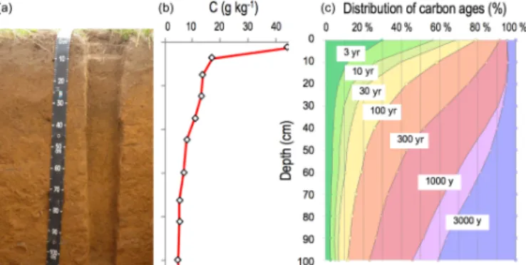 Figure 2. The different processes that control carbon storage in soils (DOC: dissolved organic carbon).
