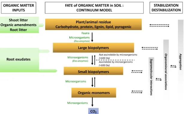Figure 3. Representation of the soil OM biotransformation continuum model (adapted from Lehmann and Kleber, 2015)