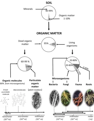Figure 4. Nature, size range and indicative proportions of organic matter in <2 mm soil