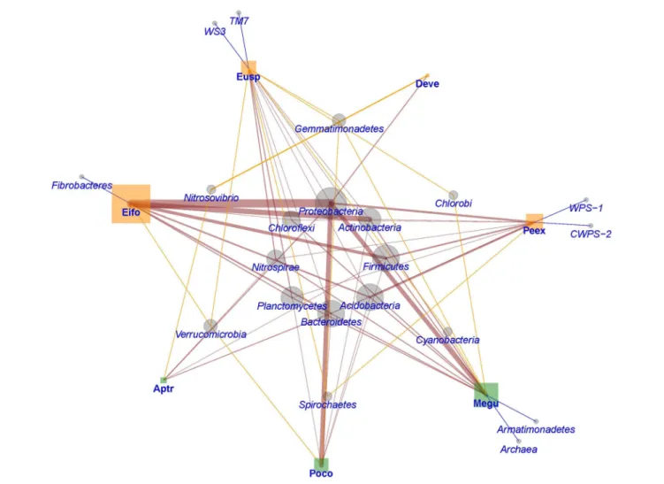 FIGURE 5 | Network representation of microbial phyla (circles) in soils or substrates processed by earthworms (squares) of different functional groups (green = endogeic and orange = epigeic)