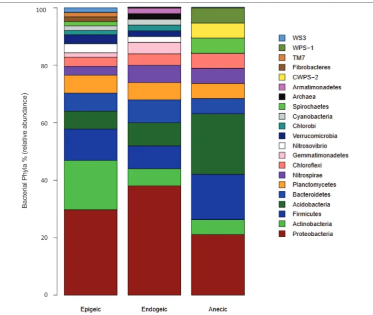 FIGURE 4 | Relative abundance of microbial phyla reported in soils or substrates processed by earthworms of different functional groups