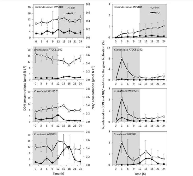 FIGURE 5 | Evolution of DON and NH + 4 concentrations along the diel cycle (left panel) and proportion of fixed N 2 released as DON and NH + 4 relative to gross N 2 fixation (right panel) as a function of the incubation time in each culture during exp 2