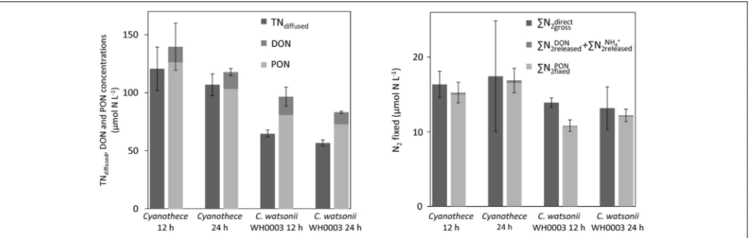 FIGURE 6 | Concentrations of TN recovered using the diffusion method (TN diffused ) and sum of PON and DON concentrations at the 12 h and 24 h time points in Cyanothece and C