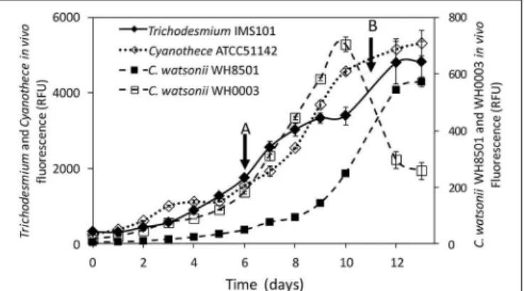 FIGURE 1 | Evolution of the in vivo Chl a fluorescence (in relative fluorescence units) in Trichodesmium IMS101, Cyanothece ATCC51142, C