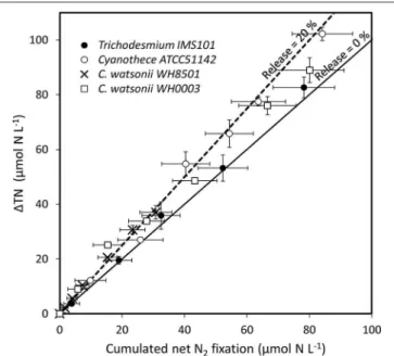 FIGURE 3 | TN accumulation (1TN), accounting for gross N 2 fixation, as a function of cumulated incorporation of N 2 in the PON, accounting for net N 2 fixation, in the culture media during exp 1