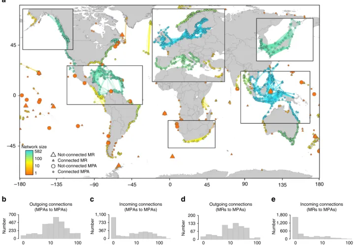 Figure 1 | Global connectivity patterns among marine protected areas and no-take marine reserves based on larval dispersal patterns