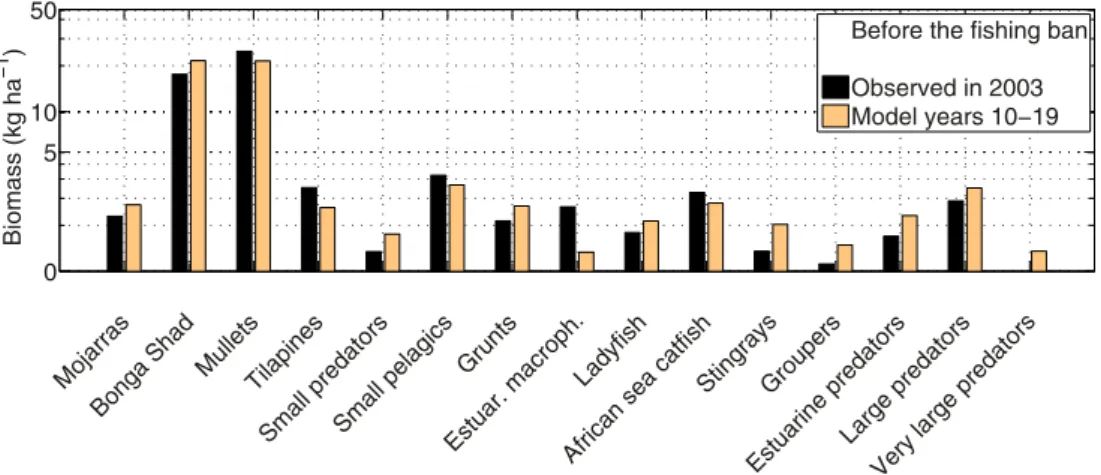 Fig. 5. Comparison between field observed biomass per group of species and model predicted biomass before fishery closure
