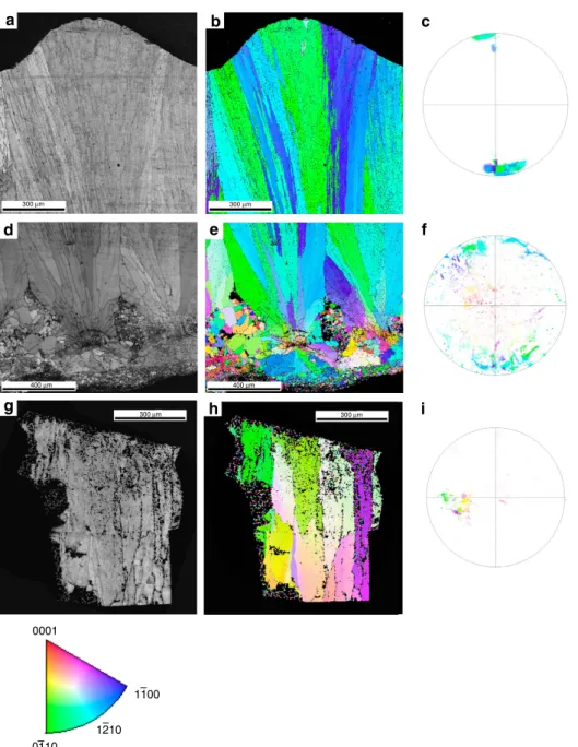 Figure 4 | EBSD analysis of Auca Mahuevo eggshells. Images are representative of multiple specimens examined