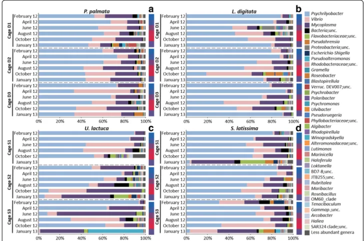Fig. 2 Relative abundance and taxonomical composition of abalone digestive microbiota at the genus level