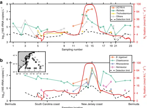 Fig. 2 Absolute rRNA gene abundances of various diazotrophs and their potential hosts in surface seawater collected during the 2015 cruise