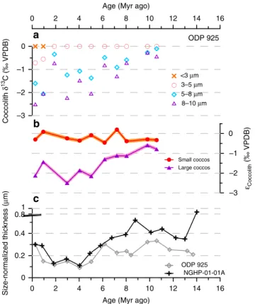 Figure 5 | Coccolith geochemistry and SN thickness trends since the Miocene. (a) d 13 C values for size-separated coccoliths from ODP Site 925, normalized to the smallest coccolith size fraction