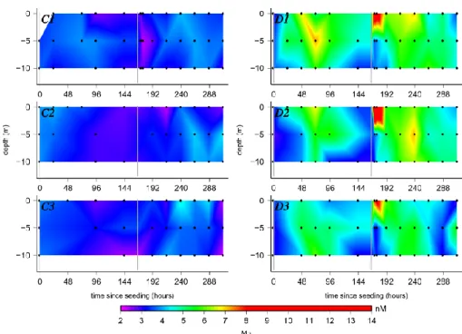 Fig. 1. Evolution of dissolved manganese (Mn) in the 6 mesocosms (left hand side – control mesocosms: C1, C2 and C3; right hand side – dust seeded mesocosms: D1, D2 and D3)