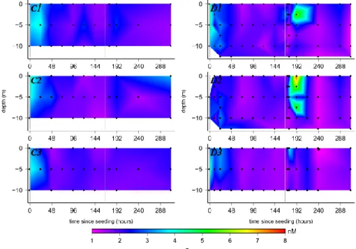 Fig. 2. Evolution of dissolved iron (Fe) in the 6 mesocosms. This graph is plotted in the same way as Fig