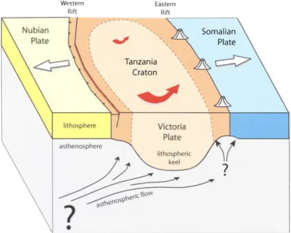 Fig.  7.  Interpretative block  diagram  across the  central part of  the EAR.  Viscous coupling  between NE-directed  asthenospheric flow driven by the African Superplume and the Tanzanian craton keel may force a counter-clockwise  rotation  of the craton