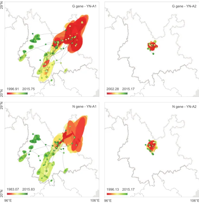 Fig 3. Spatiotemporal diffusion of Yunnan RABV clades estimated from continuous phylogeographic reconstructions