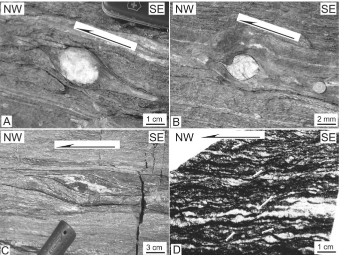 Figure 5. Field-scale photographs showing top-to-the-northwest shear sense criteria. A, Migmatite  with K-feldspar porphyroclast and sigmoidal quartz pressure shadow (Dongjiagou, E of Jinzhou City)