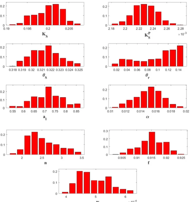 Figure 7. Histograms of marginal distribution of parameters with the mobile–immobile transport  model