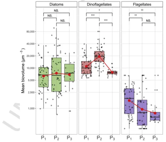 Fig. 6. Mean cell biovolume variations of diatom (left panel), dinoflagellate (middle panel) and micro-flagellate (right panel) communities during the 3 extracted periods (P ⁠1 , P ⁠2 and P ⁠3 ).