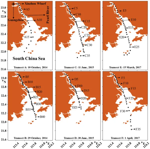 Fig. 1. Stations and sampling days of each transect in the Pearl River Estuary.