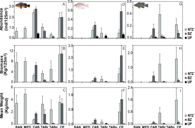Figure 3. Abundance, biomass and mean weight of the three species of groupers, E. marginatus , E