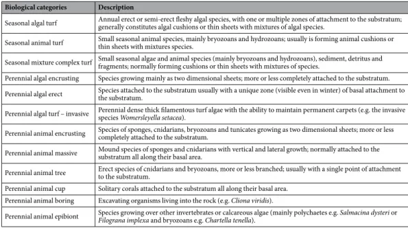 Table 3.   Morphofunctional groups. Biological categories used in this study combining taxonomy, life span  and morphological growth forms (adapted from Garrabou et al