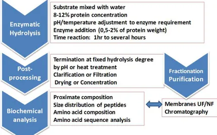 Figure  1  outlines  the  main  steps  of  the  process  in  the  enzymatic  solubilisation  of  marine  by-products