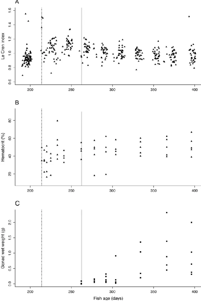 Figure 4. Body condition of Sardinia pilchardus over time. The Le Cren index (A; n = 414),  the  percentage  of  hematocrit  (B;  n  =  56),  and  the  gonad  weight  (C;  n  =  29  individuals)  are  represented over the fish age in days