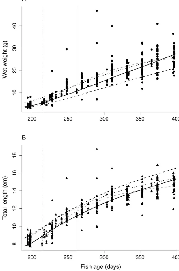 Figure 5. Fish growth and maturation process. Evolution of wet weight (A; n = 414 individuals), and total length (B; n =  414 individuals), of Sardina pilchardus according to the individual age in days between the trawl catch (194.3 ± 15.4 days of  age; me