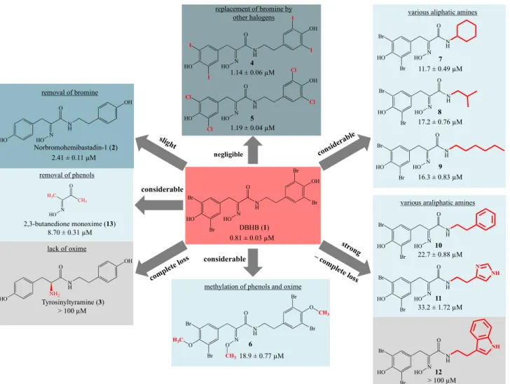 Figure 2. Inhibition of blue mussel phenoloxidase (PO) by 5,5′-dibromohemibastadin-1  (DBHB) (1) and its analogues as indicated by their IC 50  values