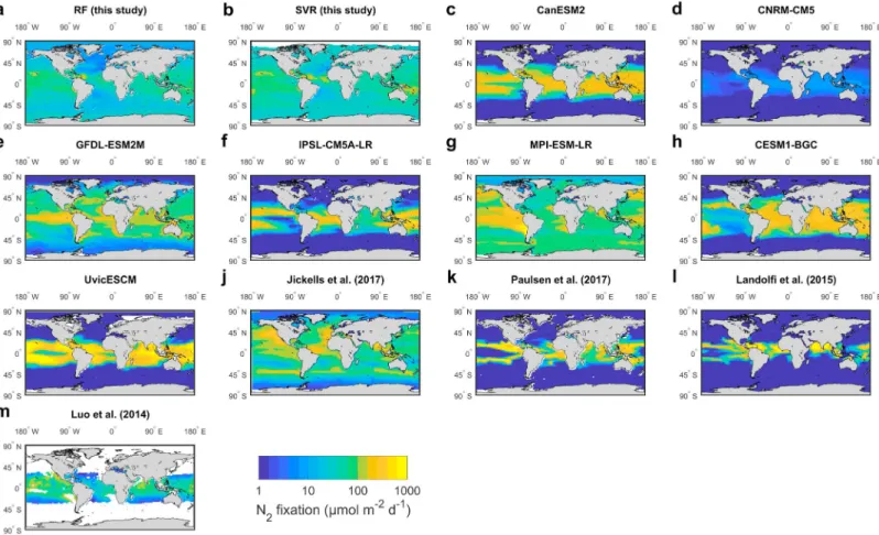 Figure 4. Global distribution of N 2 ﬁ xation rates estimated by various models. Daily N 2 ﬁ xation rates are calculated by summing monthly N 2 ﬁ xation rates and dividing by the number of days in a year