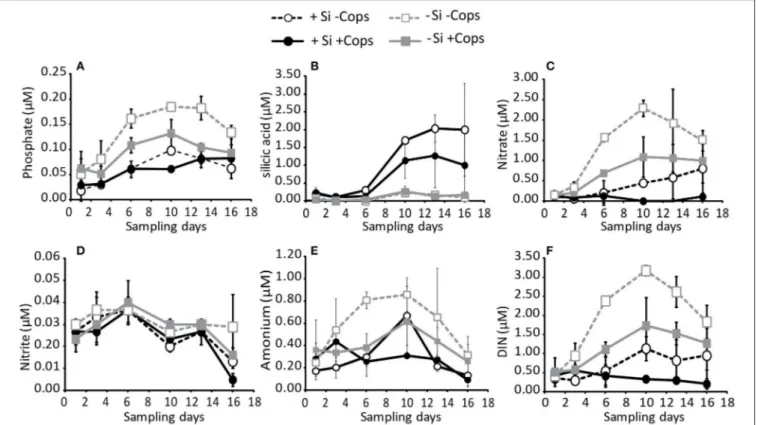 FIGURE 3 | Concentrations in the upper 4.5 m of the nutrients (A) phosphate, (B) silicate, (C) nitrate, (D) nitrite, (E) ammonium, and (F) total DIN