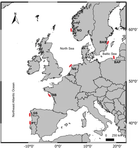 Table 1.  Number of individuals of Platichthys flesus per sampled location in the northeast Atlantic Ocean and  the Baltic Sea used for otolith chemistry (N oto ), genetic diversity (N gen ) and combined marker (N combi ) analyses.