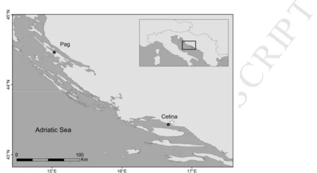 Fig 1. Sampling sites in the Croatian Adriatic Sea: Pag and Cetina. A star indicates the location of the Cetina 133 
