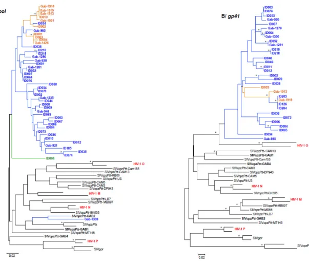Figure 4. Phylogenetic analysis of partial pol (A) and gp41 (B) of the newly identified SIVcpz sequences  from Gabon