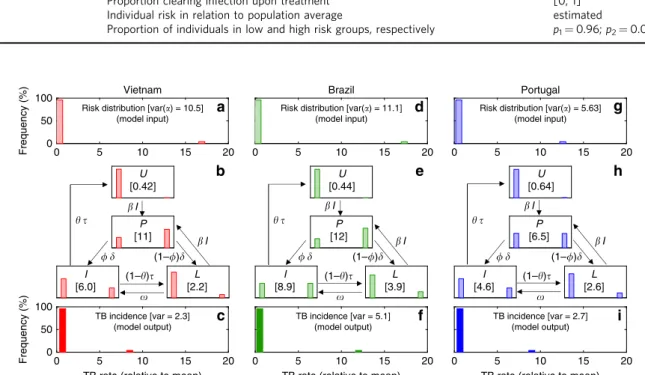 Fig. 2 Tuberculosis transmission model with distributed contact rates. a, d, g Risk (contact rate) distributions inferred by ﬁ tting a mathematical model to noti ﬁ cation data strati ﬁ ed in two risk groups (96% and 4% with risk factors α 1 and α 2 , respe