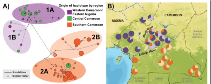 Figure 3 mtDNA haplotype network and map. (A) Median-joining haplotype network of mtDNA HVRI locus generated using Network 4.5