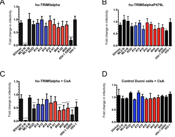 Figure 1.  Mild restriction of HIV-2 infection by hu-TRIM5alpha proteins is increased by CsA treatment