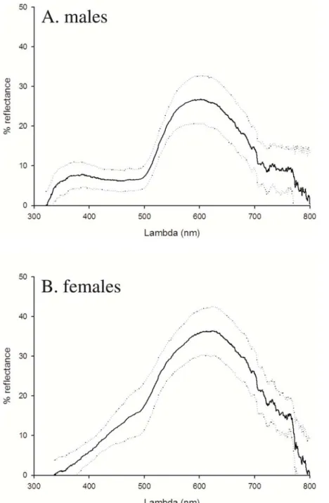 Figure 2. a–b. Average reflectance spectra of ventral colouration in male (a) and female (b) common lizards