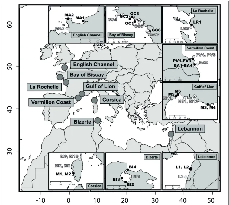 FIGURE 1 | Map of the 42 sediments sampling stations. Within each location a priori non-contaminated sites are in light gray and a priori contaminated sites in black (i.e., contamination criterion defined before sampling)