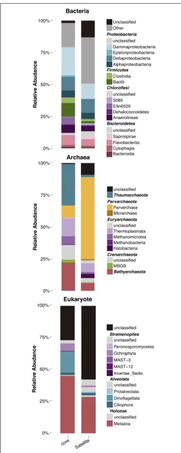 FIGURE 4 | Relative abundance of the different microbial taxa in core and satellite groups at the taxonomic level of the class