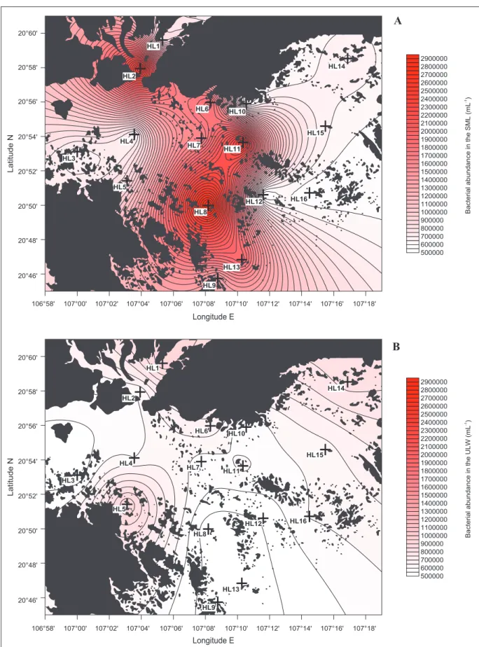 Figure 2: Distribution of bacterial abundance in the sea surface microlayer and underlying water of Halong  Bay